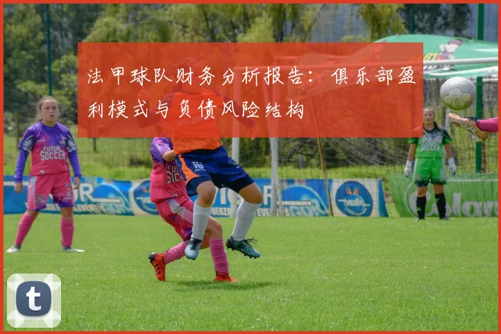 法甲球队财务分析报告：俱乐部盈利模式与负债风险结构