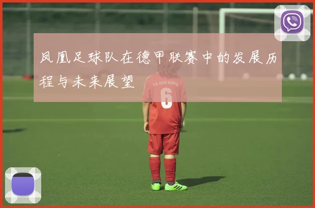 凤凰足球队在德甲联赛中的发展历程与未来展望