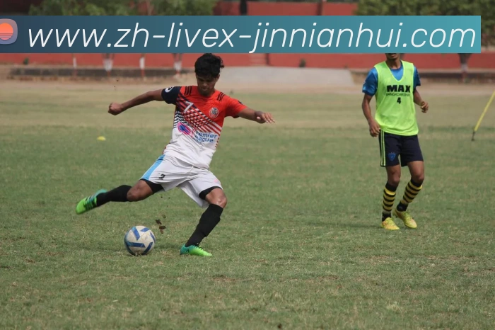 金年会体育平台生态图